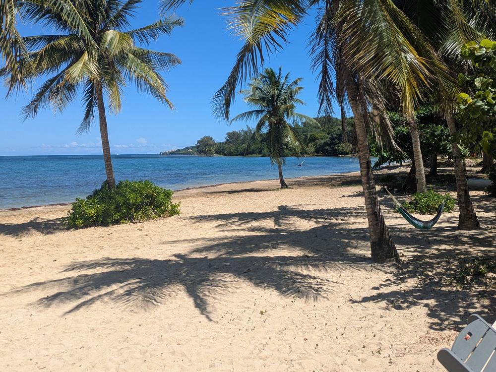 Hamac sous les palmiers