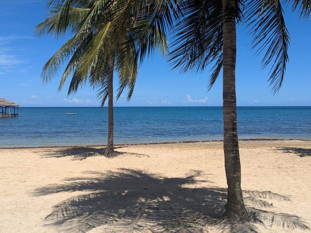 La plage de Palmetto Bay et son quai